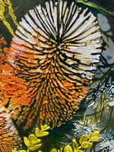Close-up of a textured Banksia flower with orange, white, and dark green patterns