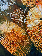 Close-up of textured coral Banksia flower with a focus on color and pattern