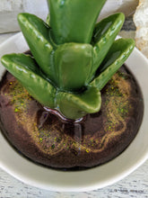 Ring Dish - Cactus wine and green